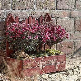 《宝可梦：晶灿钻石＆明亮珍珠》发布宝可表互动广场视频