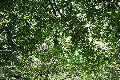 《使命召唤19》联动《黑袍》预告 祖国人星光玄色加入